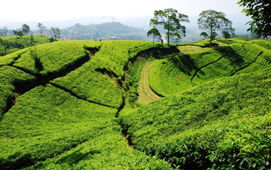 Your Adventure Awaits